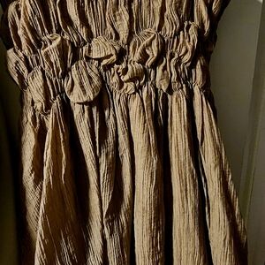 Forever 21 Brown Mini Dress